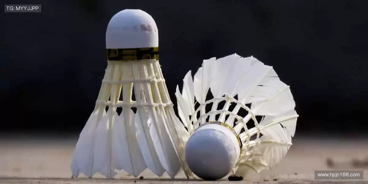 👕 限量周边，穿上它，你就是赛场最靓的崽！